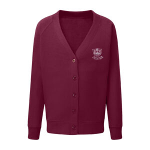 St Michael's C of E Primary School Cardigan